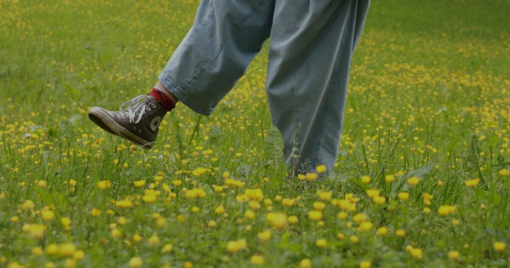 黄色の花が咲く草原で歩いている様子